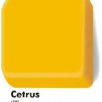 02_cetrus