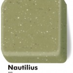 02_nautilius