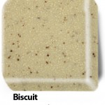 03_biscuit