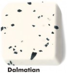 03_dalmatian