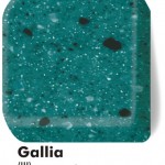05_gallia