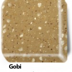 06_gobi